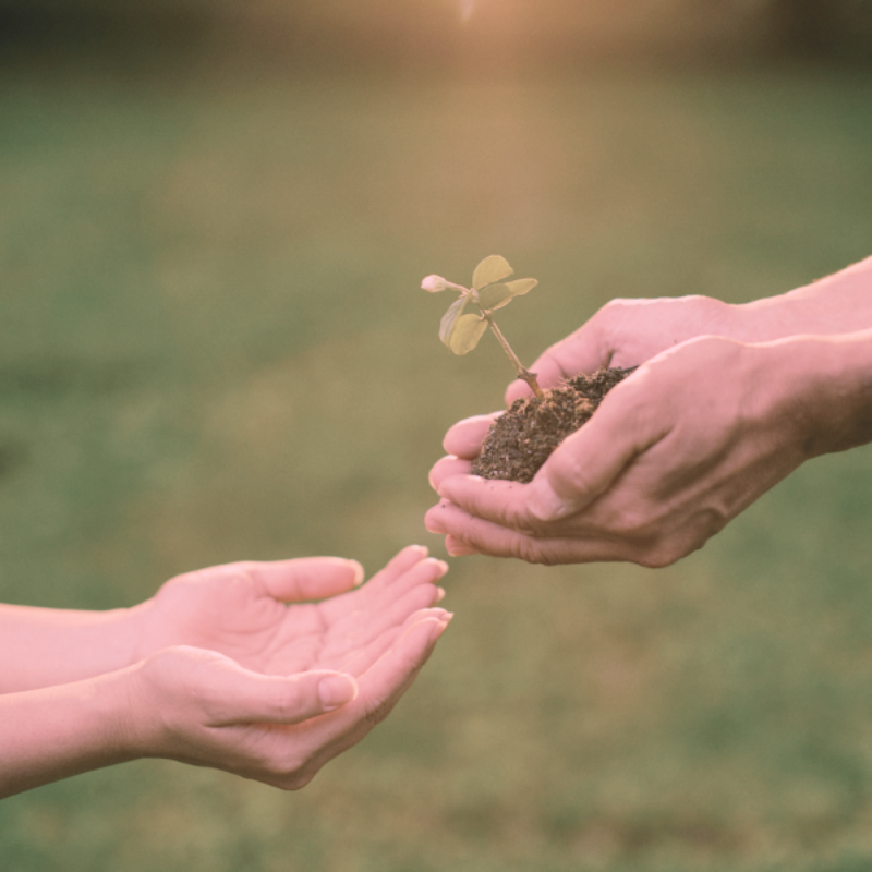 Accompagnement et méditation en groupe