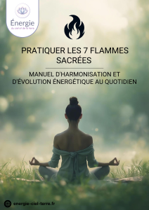 Manuel d'entraînement aux 7 flammes