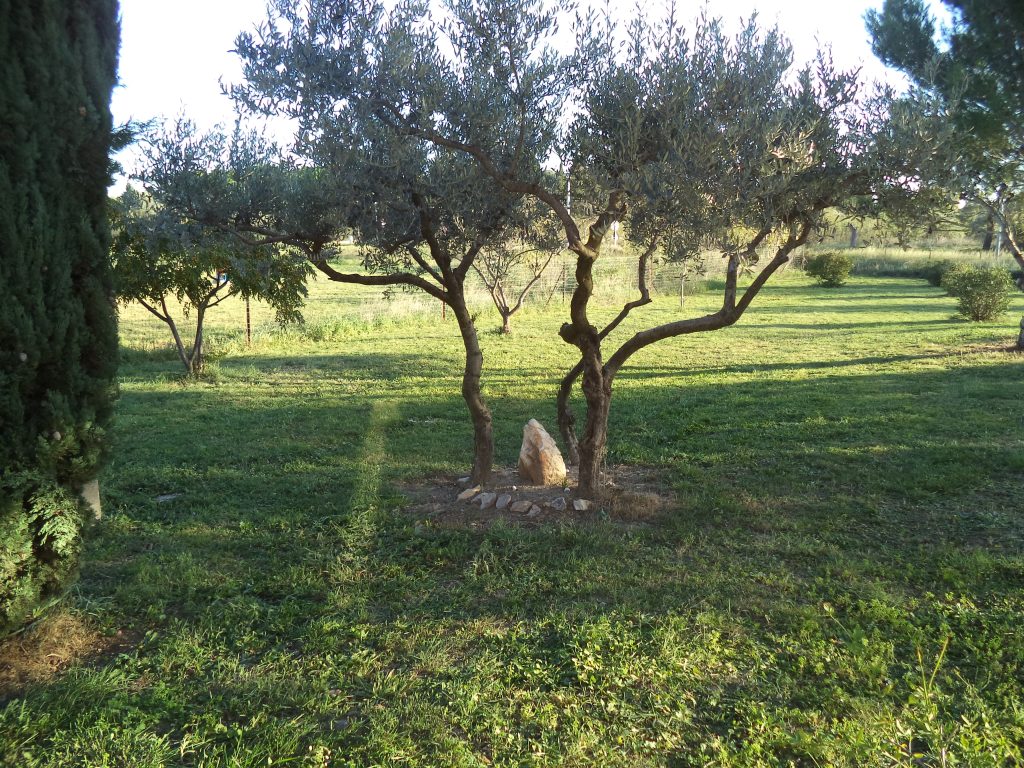 Menhir 1