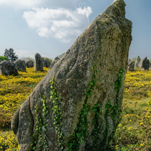 magie_menhir